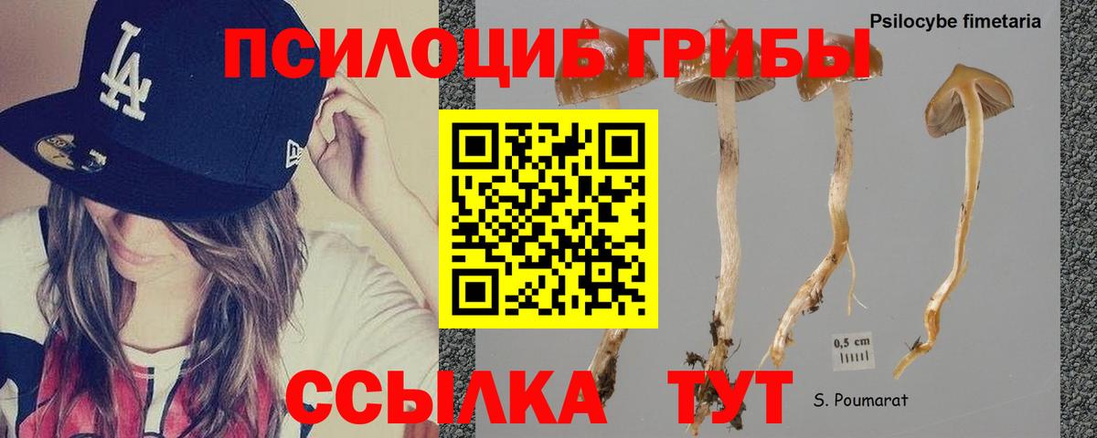 Галлюциногенные грибы Magic Shrooms Кириши