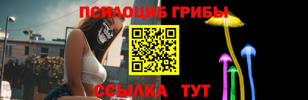 Кириши  Псилоцибиновые грибы Magic Shrooms  Вход с VPN  Псилоцибиновые грибы ЛСД 